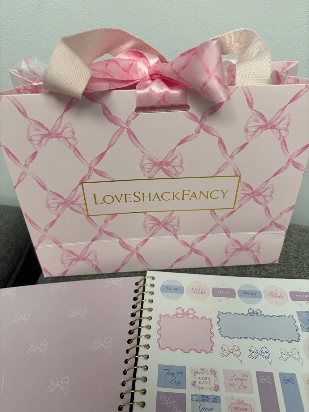 LoveShackFancy 2026-2027 Weekly/vinyl covers Monthly Planner - Pink w/gift bag